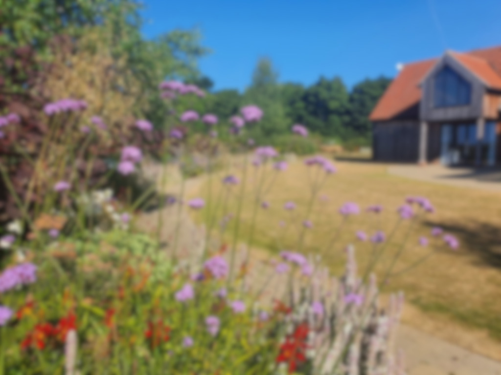 Summer garden flowers in front of the Essex Therapy Barn